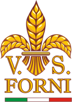VERY SPECIAL FORNI VERY SPECIAL FORNI лого
